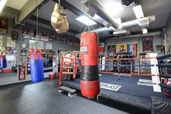 IronGloves Boxing Gym Picture 2