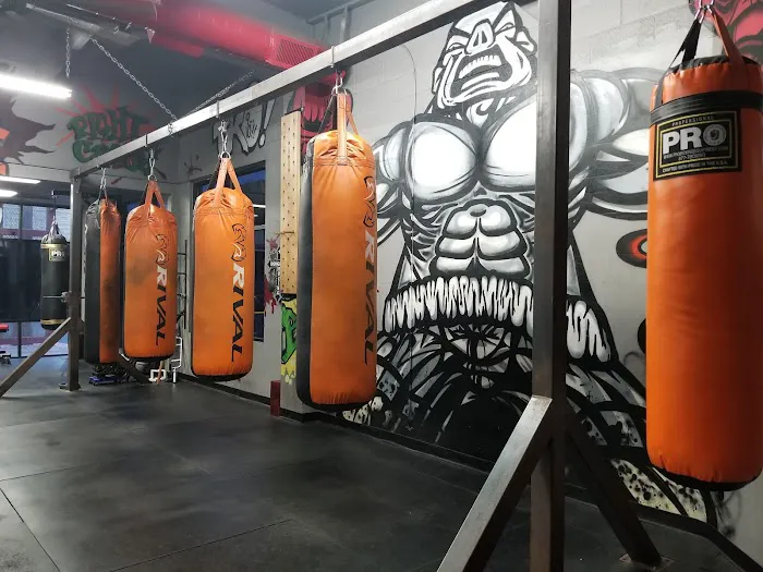 IronGloves Boxing Gym Picture 4