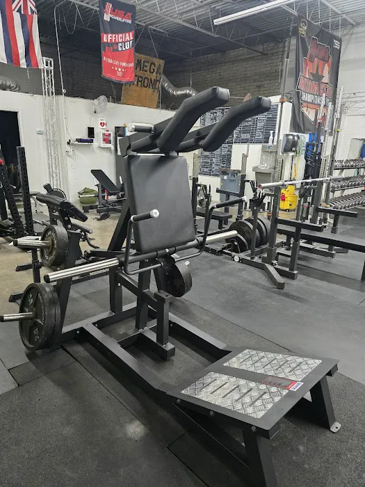 Omega Strong Gym Picture 6