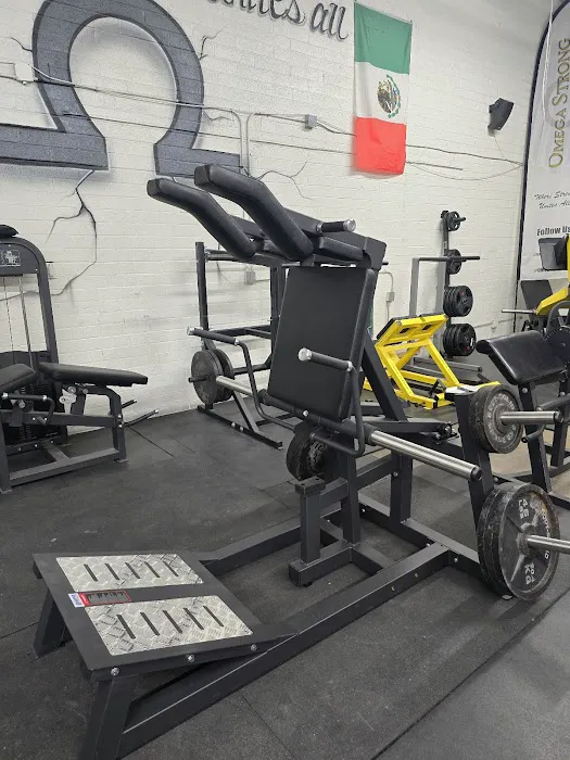 Omega Strong Gym Picture 7