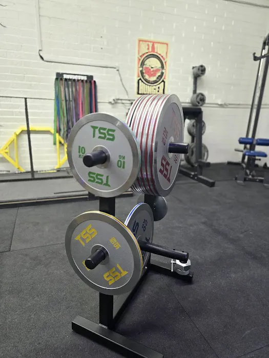 Omega Strong Gym Picture 8