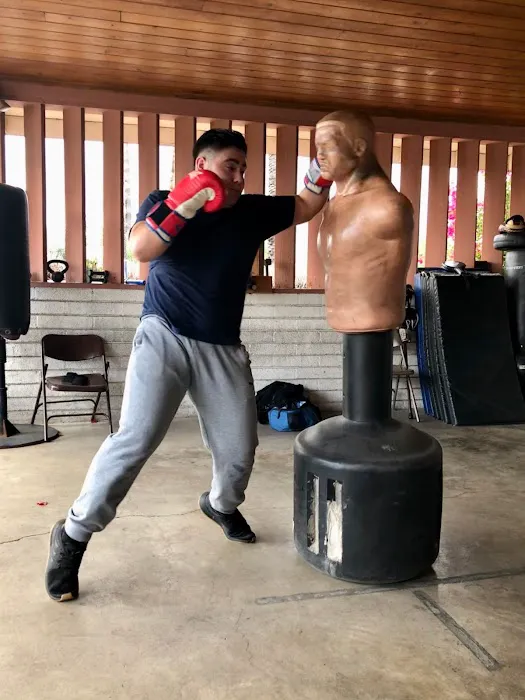 Gonzalez Boxing Picture 2