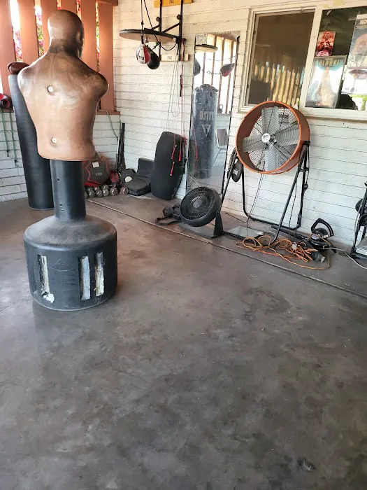 Gonzalez Boxing Picture 3