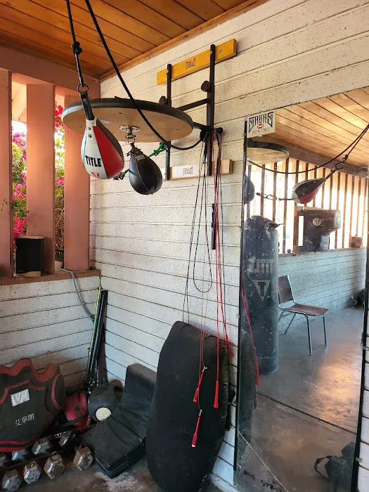 Gonzalez Boxing Picture 4