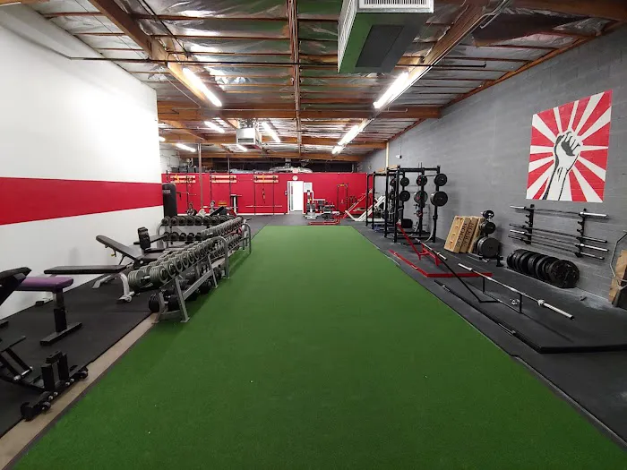 Revolution Training System Picture 1