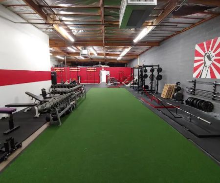 Revolution Training System