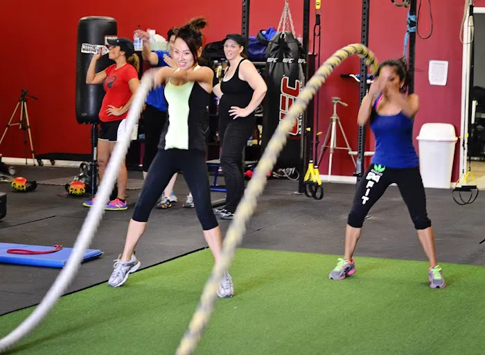 Revolution Training System Picture 4