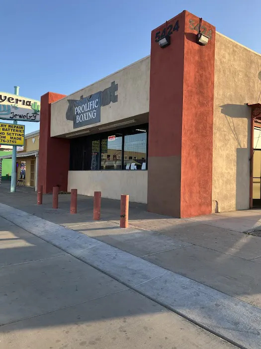 Prolific Boxing LLC Picture 2