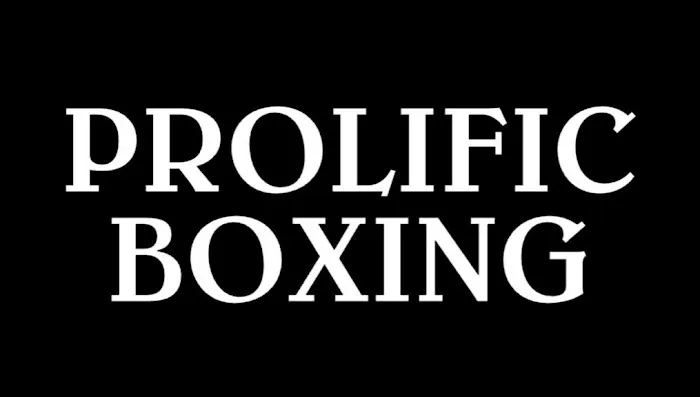 Prolific Boxing LLC Picture 1
