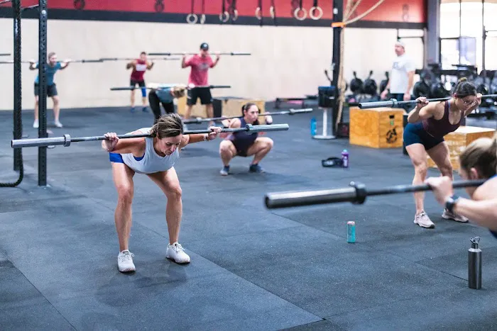 CrossFit Fury Picture 4