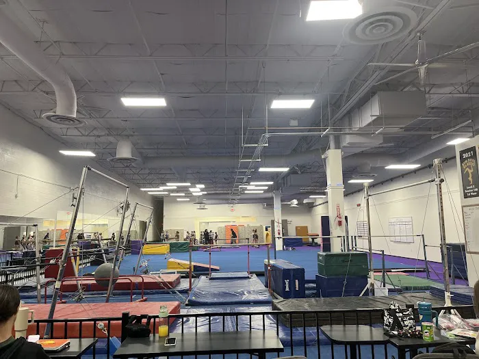 Flames Gymnastics Picture 1