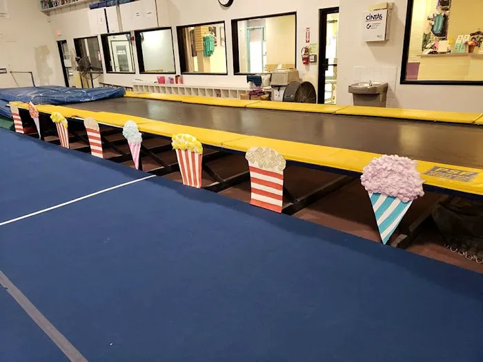 Oasis Gymnastics Picture 7