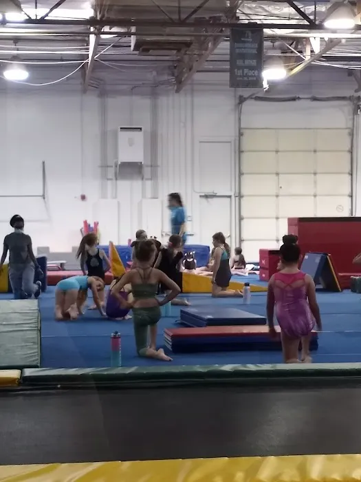 Oasis Gymnastics Picture 10