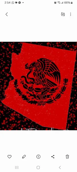 Desert Eagle Boxing Picture 2