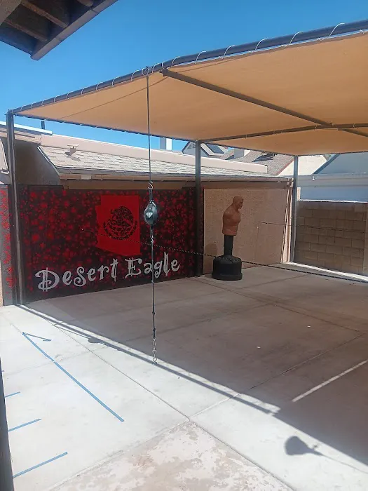 Desert Eagle Boxing Picture 1