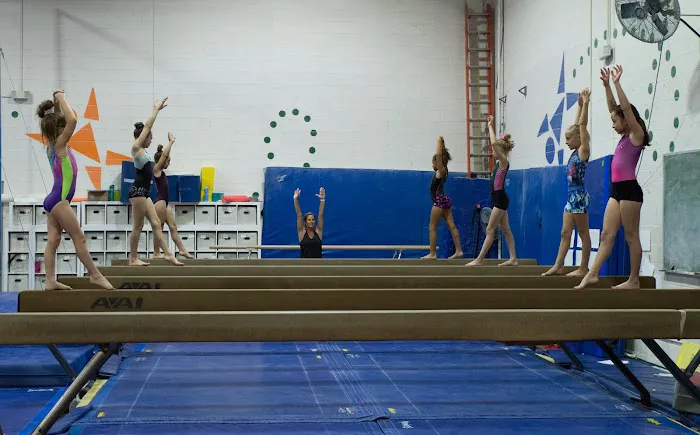 Phoenix Gymnastics Academy Picture 3