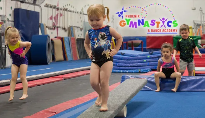 Phoenix Gymnastics Academy Picture 2