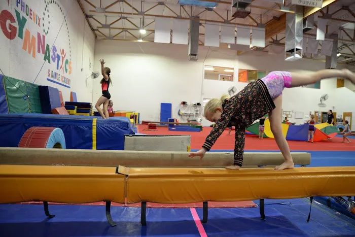 Phoenix Gymnastics Academy Picture 1