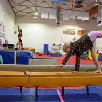 Phoenix Gymnastics Academy ico