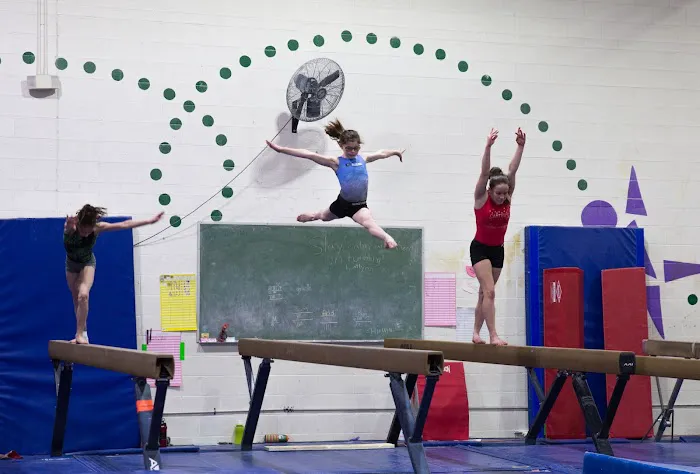 Phoenix Gymnastics Academy Picture 8