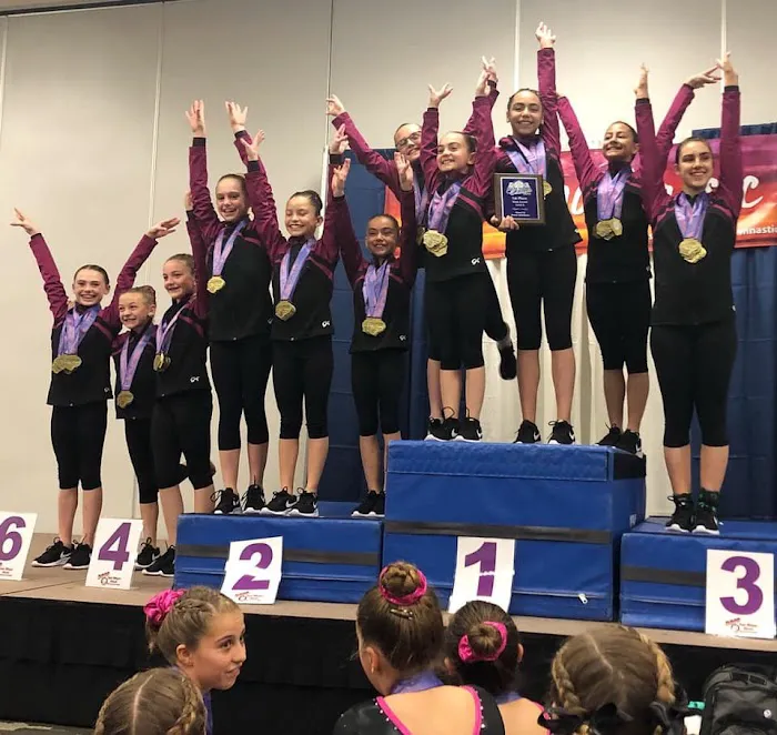 Phoenix Gymnastics Academy Picture 9