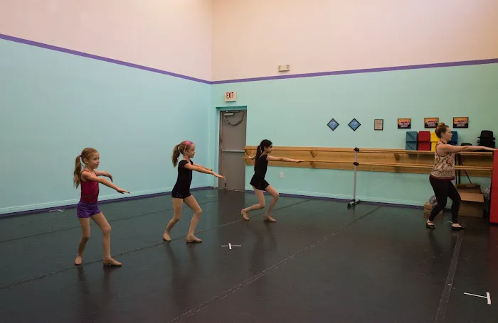 Phoenix Gymnastics Academy Picture 10