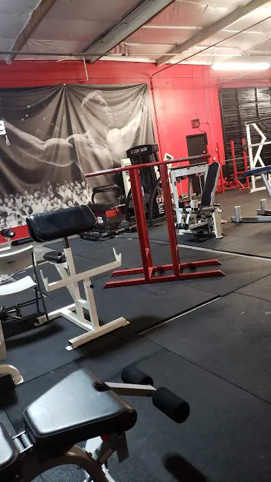 Metroflex Gym Picture 6