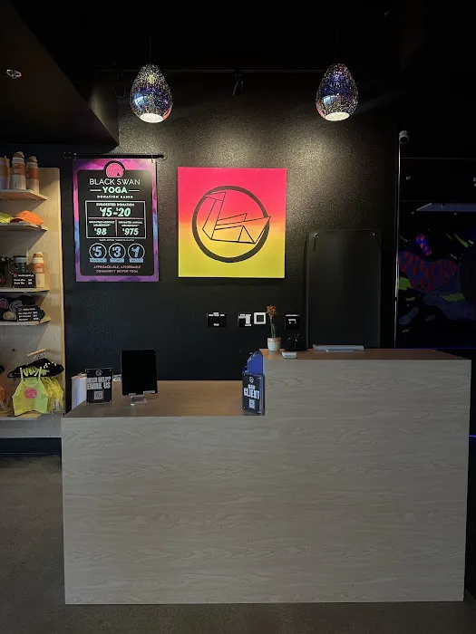 Black Swan Yoga - Paradise Valley Picture 4