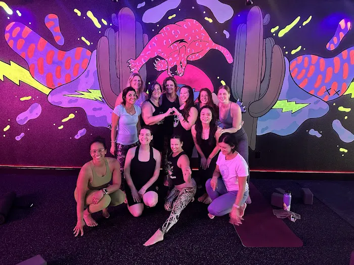 Black Swan Yoga - Paradise Valley Picture 6