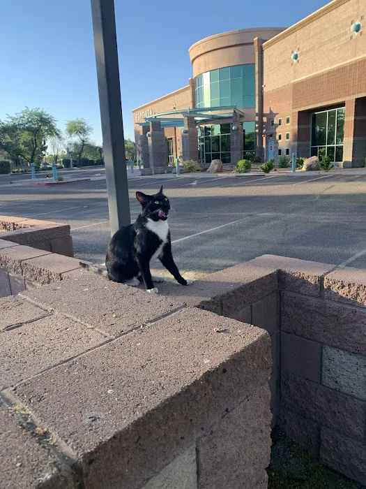 LA Fitness Picture 3