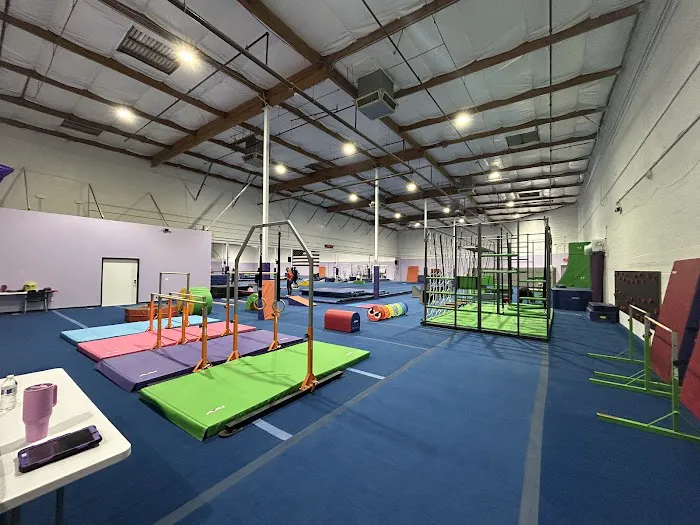 Influence Gymnastics Picture 1