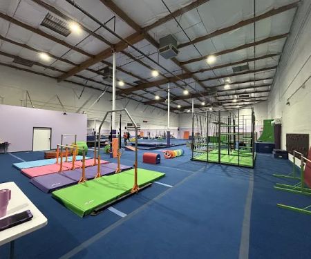 Influence Gymnastics