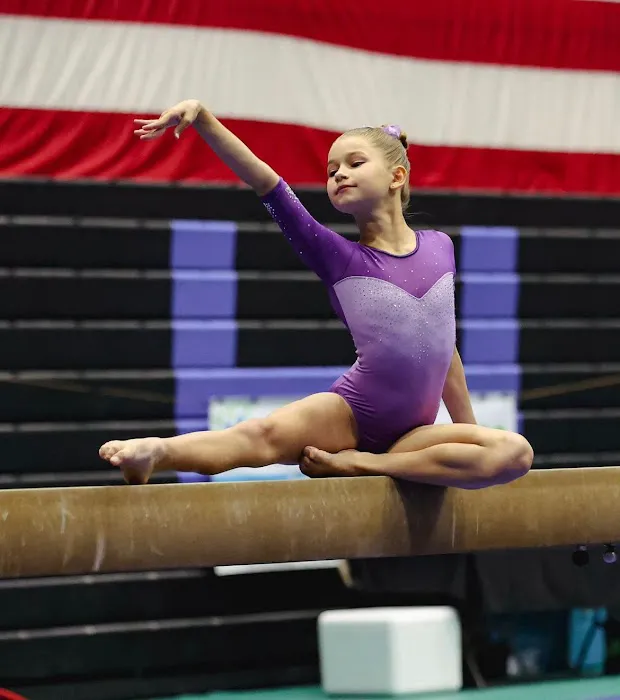 Influence Gymnastics Picture 6