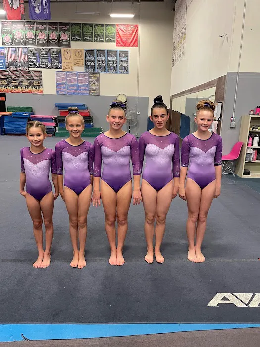 Influence Gymnastics Picture 7