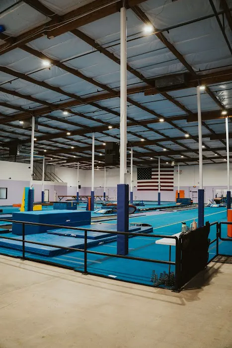 Influence Gymnastics Picture 9