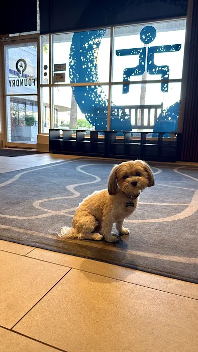 The Foundry Paradise Valley Picture 7