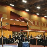 Biltmore Gymnastics ico