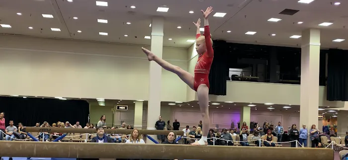 Biltmore Gymnastics Picture 5