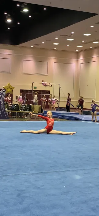 Biltmore Gymnastics Picture 3