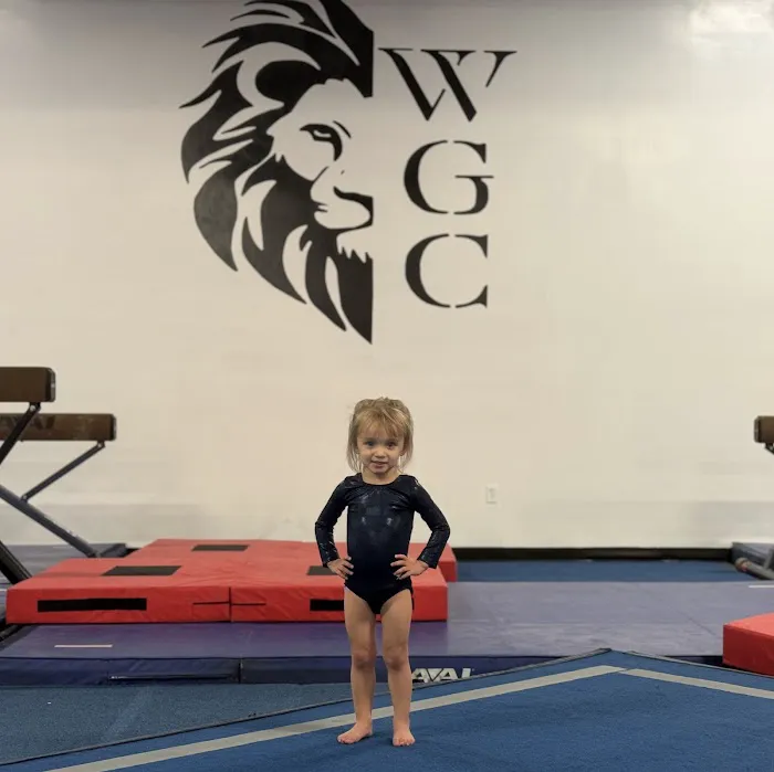 Wright Gymnastics Center Picture 1