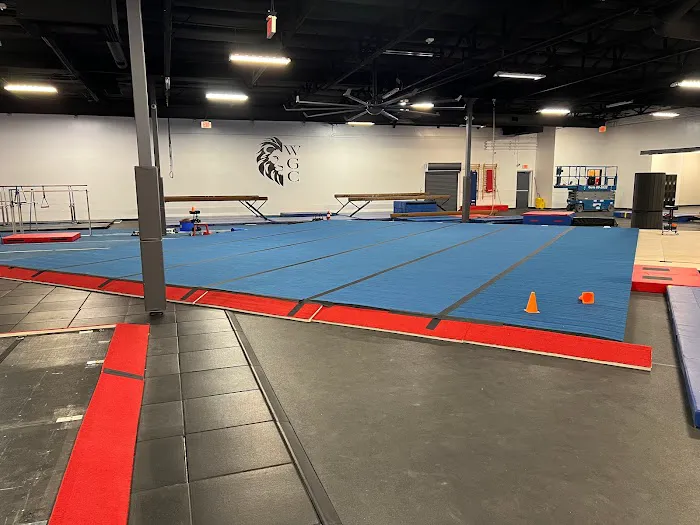 Wright Gymnastics Center Picture 3