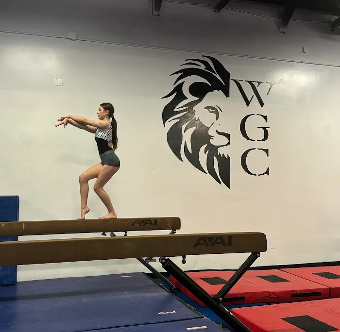 Wright Gymnastics Center Picture 5