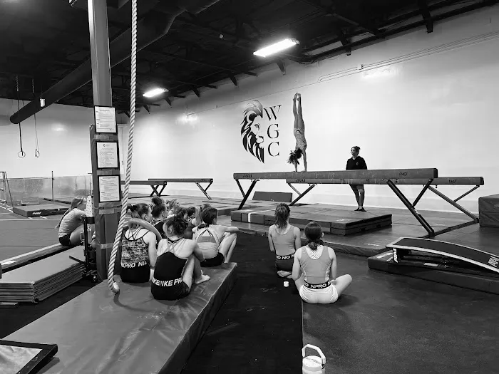 Wright Gymnastics Center Picture 7