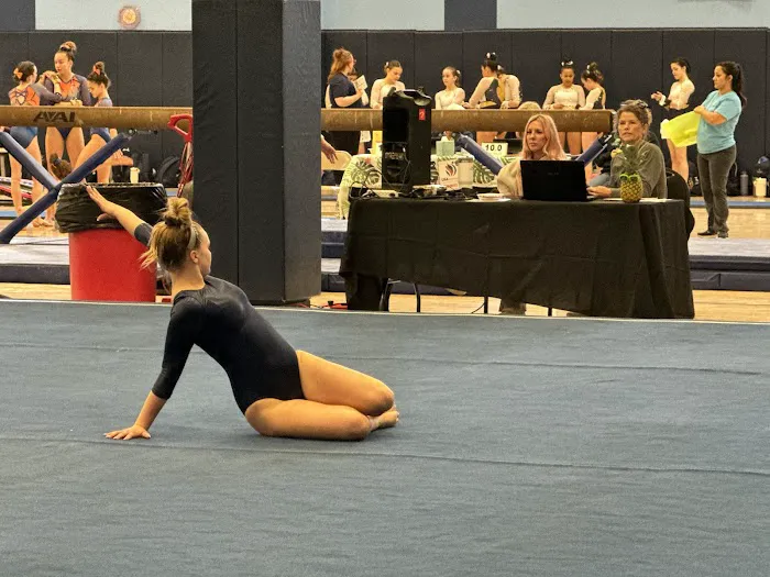 Wright Gymnastics Center Picture 8