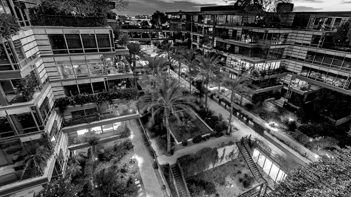 Wolf Wellness Picture 1