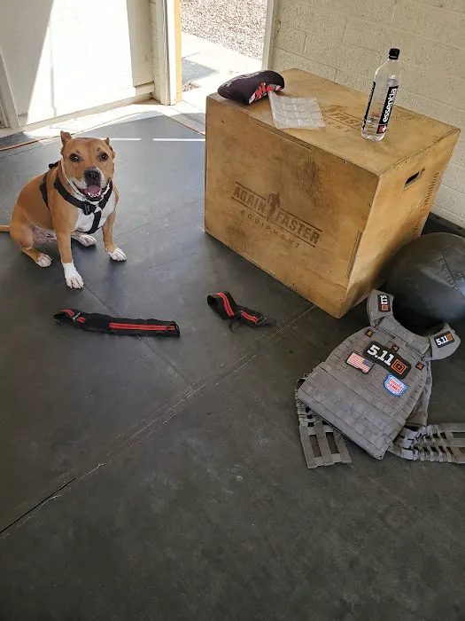 Globo Jim's Picture 4