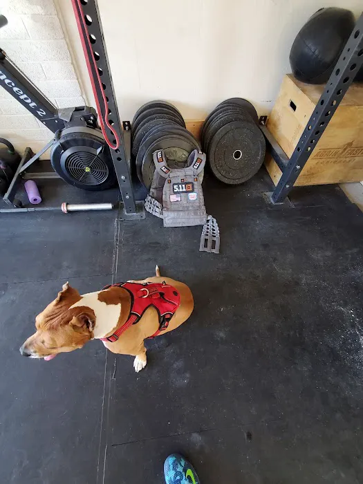 Globo Jim's Picture 5