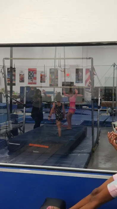 Southwest Gymnastics Training Picture 1