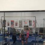Southwest Gymnastics Training
