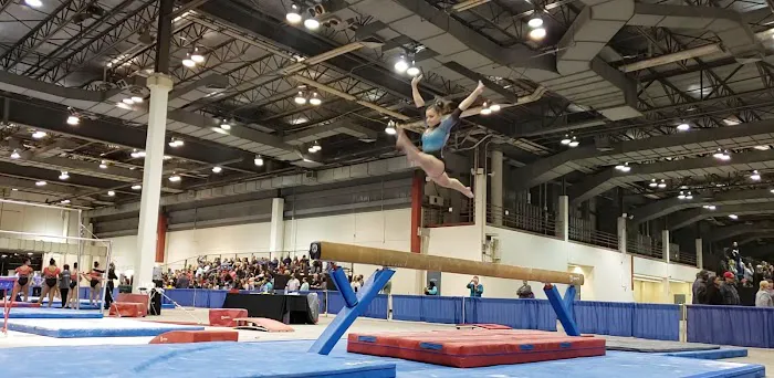 Surprise Angels Picture 1